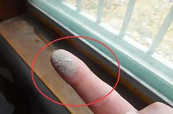 成图百灵鸟门窗带您揭秘家里灰尘多的原因