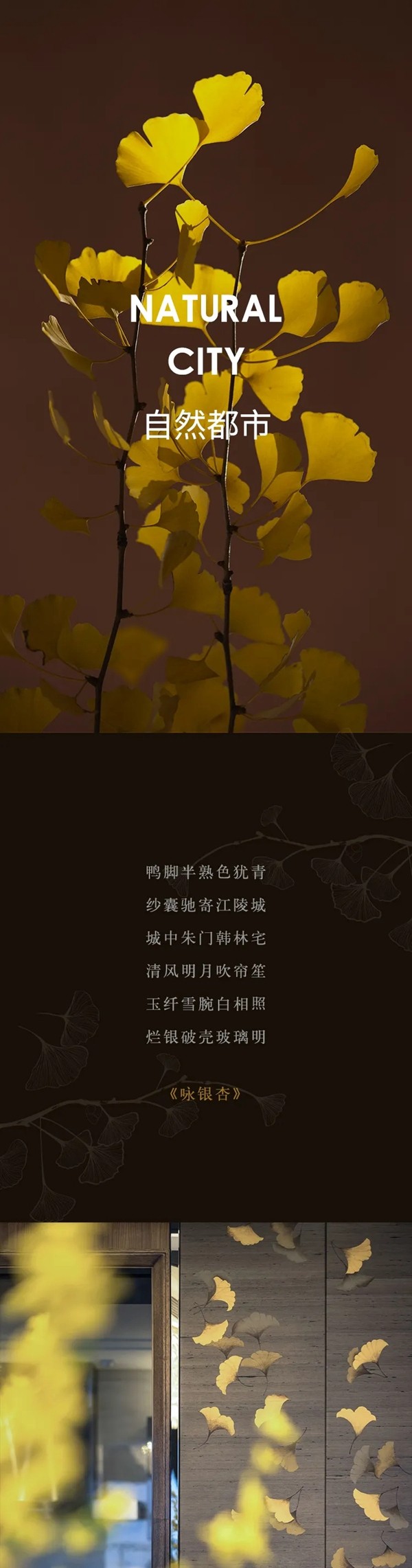 伊丽罗莎墙布：自然都市 追逐初秋的微风