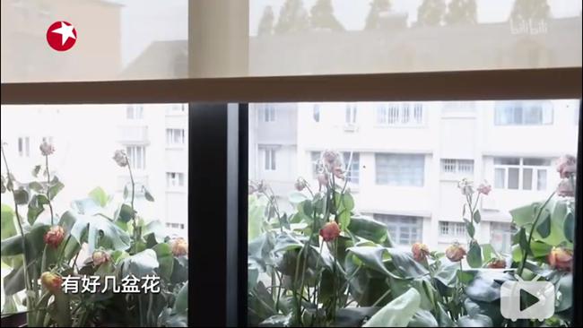 科度门窗：《梦想改造家》幕后故事