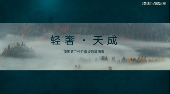 顶固竹香板2.0最新测评结果来了