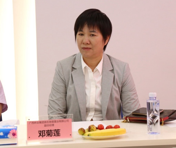 广西崇左市劳宁军副市长莅临合生雅居高端板木定制调研指导