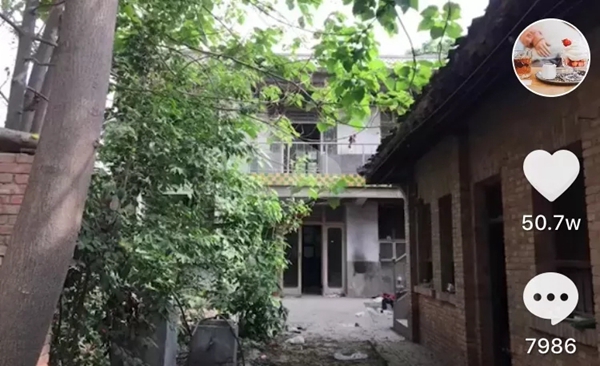 杜威艺术壁材：花光5年积蓄 她却引50W＋网友点赞……