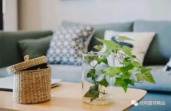 欣明：家居窗帘色彩这样搭 简单又实用
