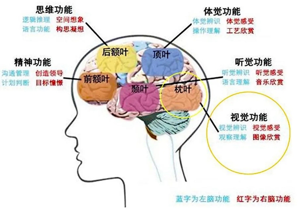 瓦科艺术肌理壁膜:空间色彩搭配不好 可能会害了宝宝!