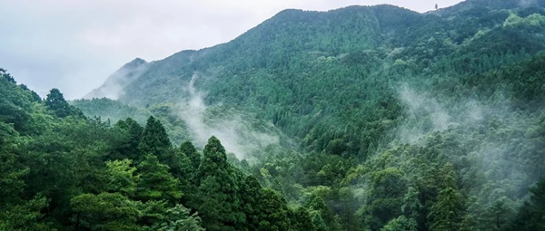 百能不锈钢家居：国内家居建材行业迎来新一轮价格上涨期？
