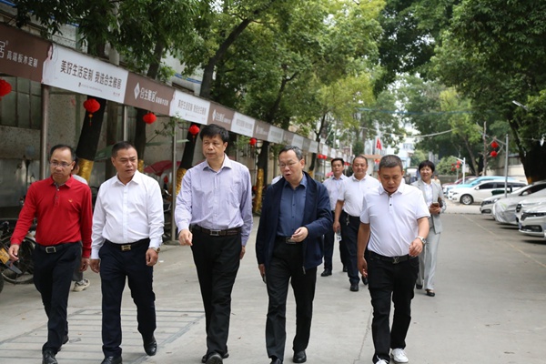 广西崇左市劳宁军副市长莅临合生雅居高端板木定制调研指导