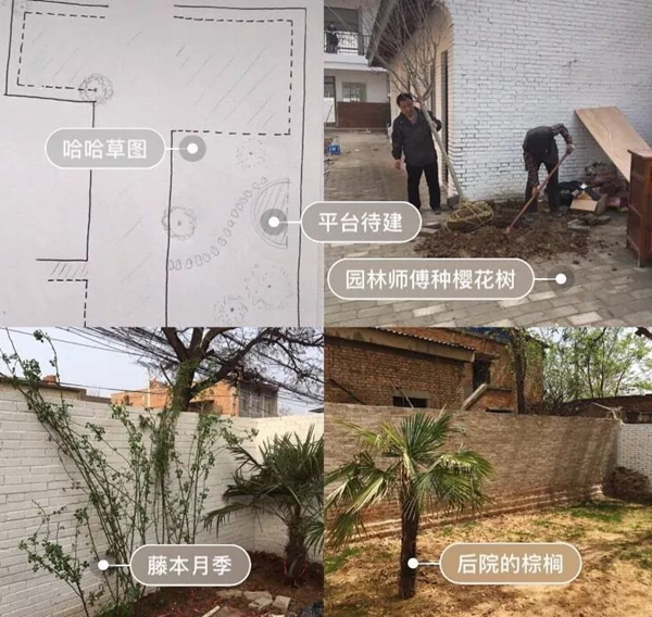 杜威艺术壁材：花光5年积蓄 她却引50W＋网友点赞……