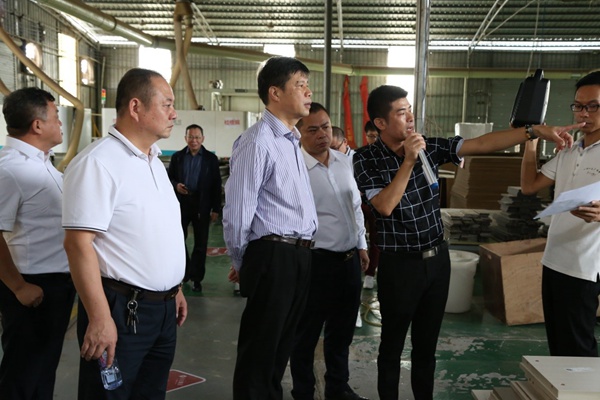广西崇左市劳宁军副市长莅临合生雅居高端板木定制调研指导