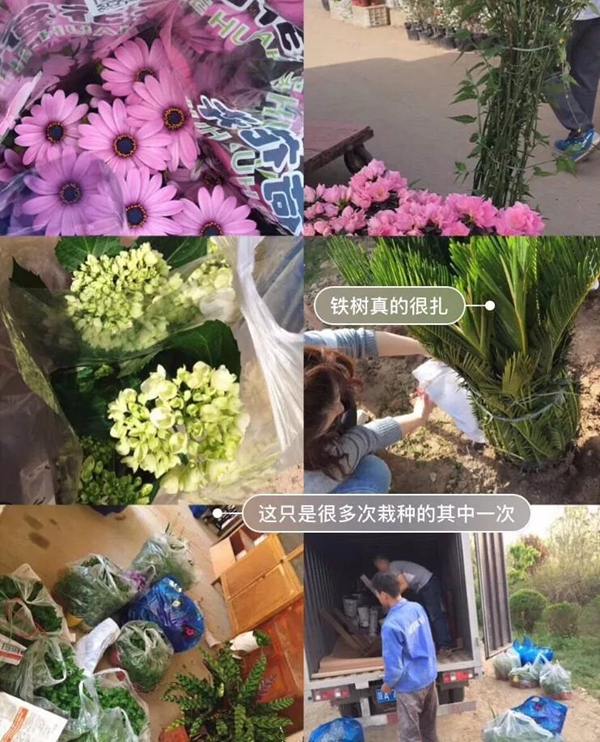 杜威艺术壁材：花光5年积蓄 她却引50W＋网友点赞……