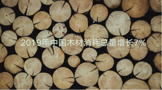 顶固竹香板2.0最新测评结果来了