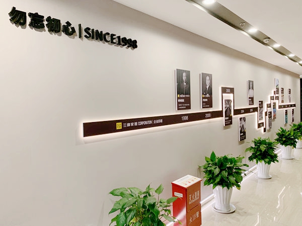 慧亚考察团实地走访三峰家居,深度剖析品牌实力!