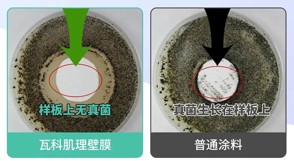 瓦科艺术肌理壁膜 防霉抗菌呵护你和家人的健康