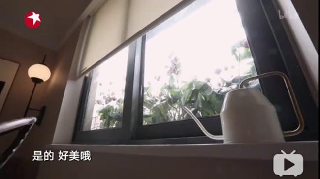 科度门窗：《梦想改造家》幕后故事