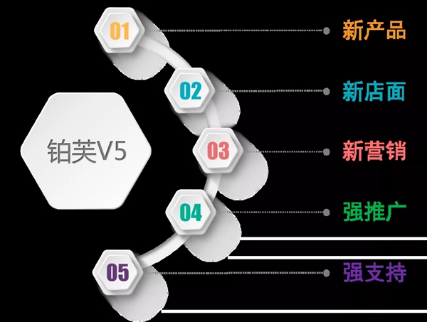 铂芙艺术壁材2020首届全国招商会圆满成功