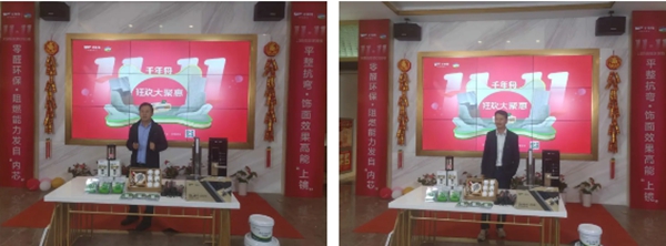千年舟·柏菲伦双十一狂欢大聚惠直播爆火