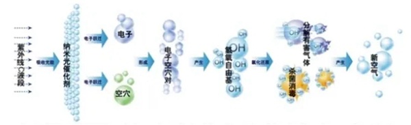 千年舟·柏菲伦板材的免疫力,硬核科技守护全家健康