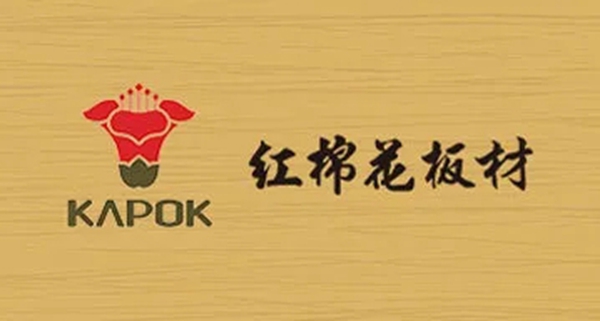 科菲笛全屋定制加盟成功的六大支持？快戳进来看看！