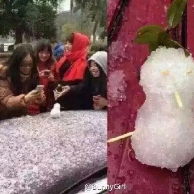 菲尼斯门窗 | 窗户除了保暖防寒还能满足安全美观所需