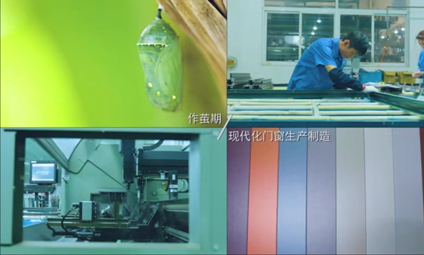 特诺发携手央视《非凡匠人》 持续打造中国门窗品牌影响力！