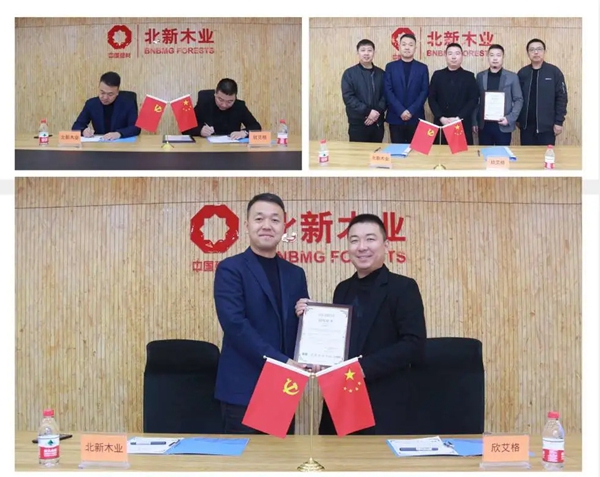 欣艾格 ：高品质欧卡菲进口板材，守护您的梦想新家