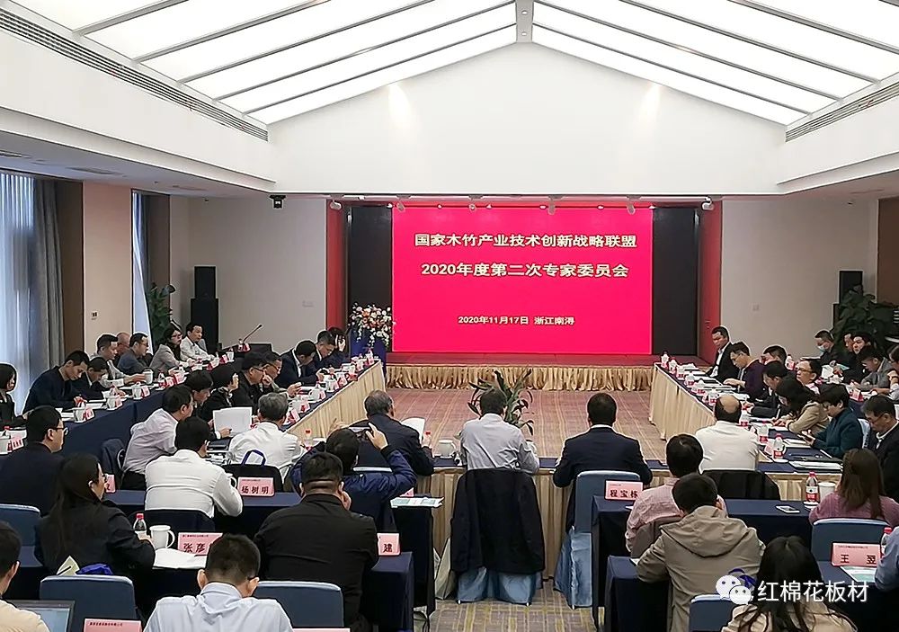 红棉花板材 | 国家木竹产业技术创新战略联盟2020年度第二次专家委员会圆满召开