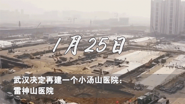 2020广州设计周|红棉花板材免费赠送价值300元4日通票