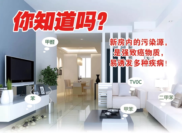 涂兰朵：继续呼吸甲醛，还是选择更好的生活？