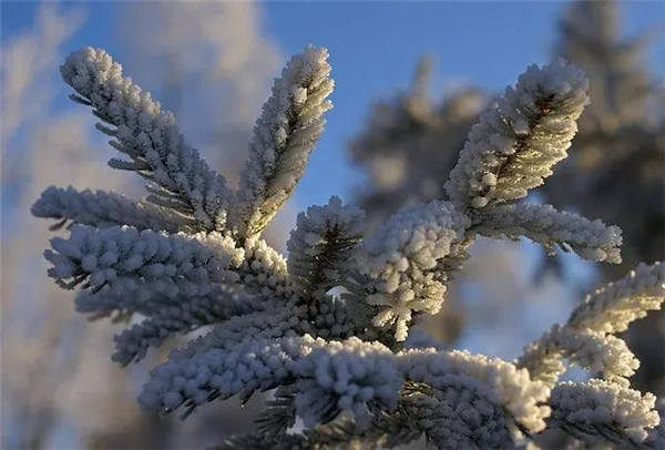 顺辉岩板产品赏析 岩遇自然松雪悠然