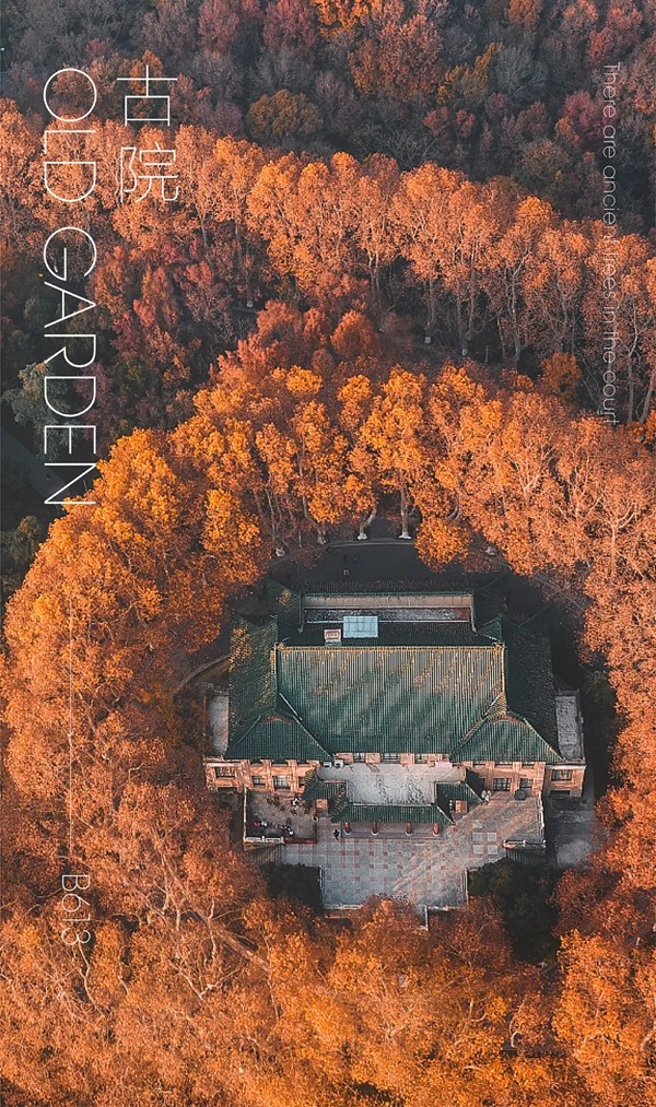 雅琪诺：古院 Old Garden /B613