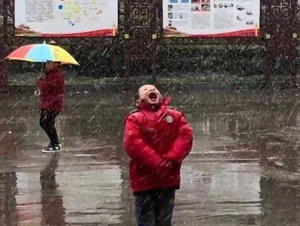 菲尼斯门窗 | 窗户除了保暖防寒还能满足安全美观所需
