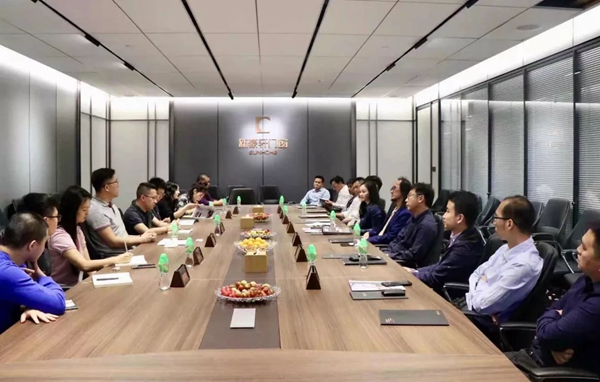 新豪轩门窗X新浪：一场发现之旅 助力美好生活