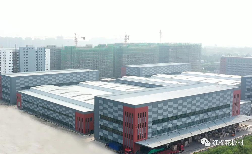 红棉花板材 | 木质功能材料与制品国家创新联盟第一届专家委员会成功召开
