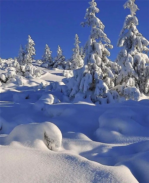 顺辉岩板产品赏析 岩遇自然松雪悠然