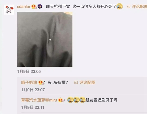 菲尼斯门窗 | 窗户除了保暖防寒还能满足安全美观所需