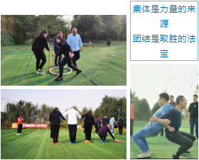 雅之轩门窗素质拓展活动完美收官