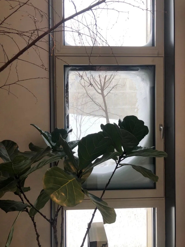 森鹰铝包木门窗:暴雪中的世界最大被动式工厂 森鹰铝包木门窗:暴雪中的世界最大被动式工厂