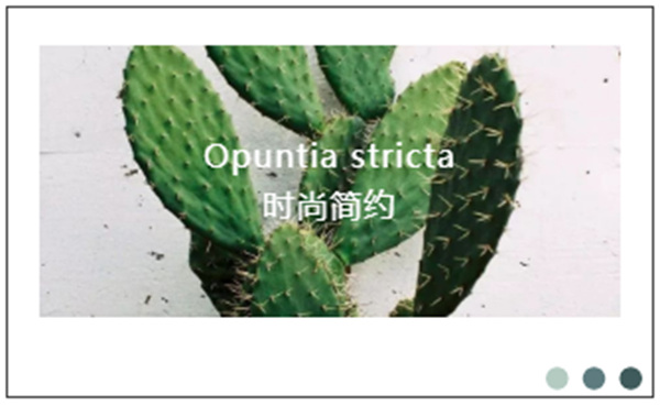  科布斯美学墙布： 简约大气的家