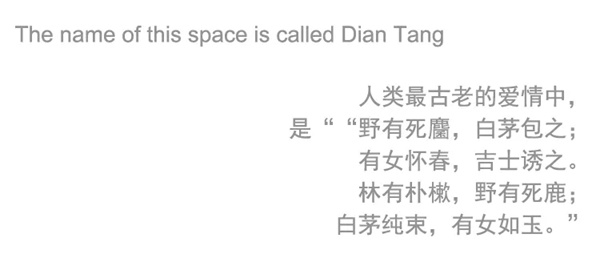 大正彩翼案例赏析:《甸·堂》ZDIAN Bridal婚纱店