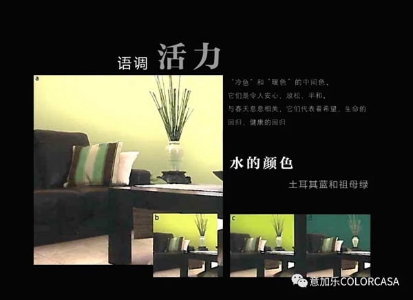 意加乐®COVEMA优秀设计师推荐色卡
