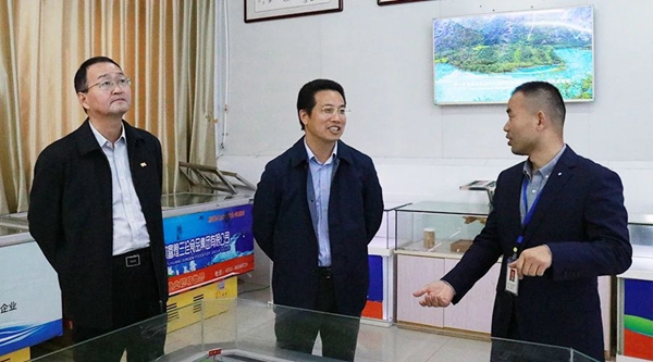 巢湖市委副书记许汉生一行莅临富煌集团调研