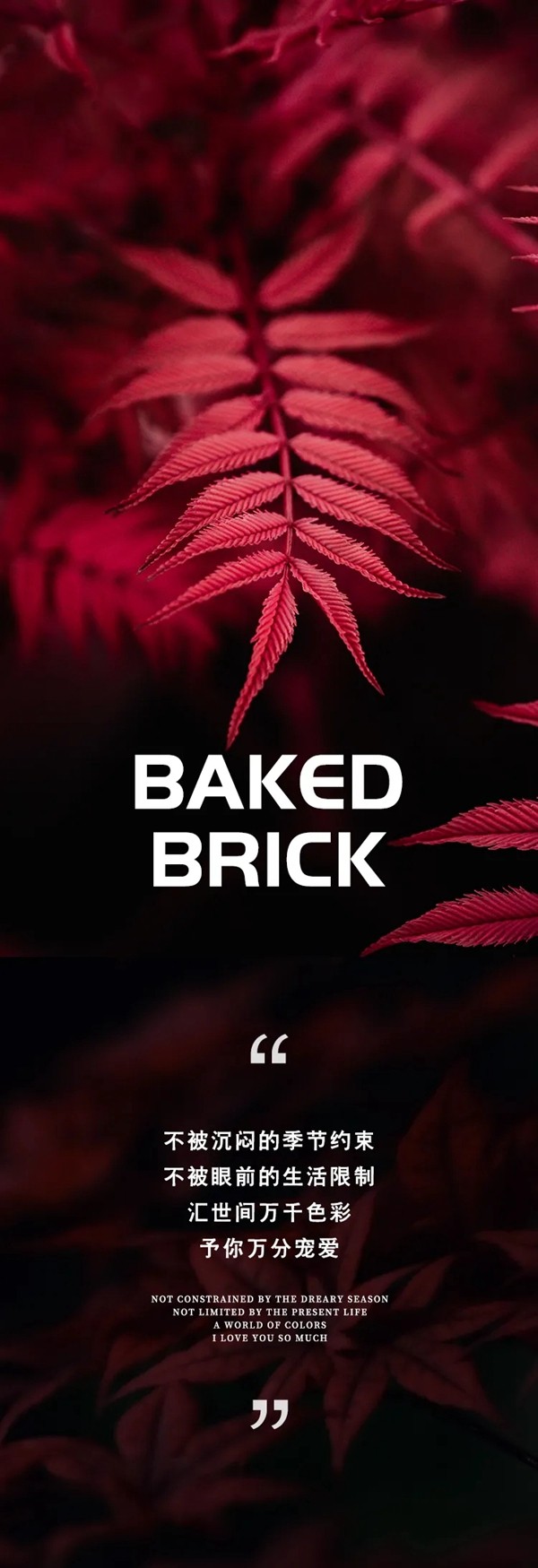 伊丽罗莎秋冬专属色“烧砖啡”，浓郁高级的家居时尚色