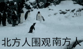菲尼斯门窗 | 窗户除了保暖防寒还能满足安全美观所需