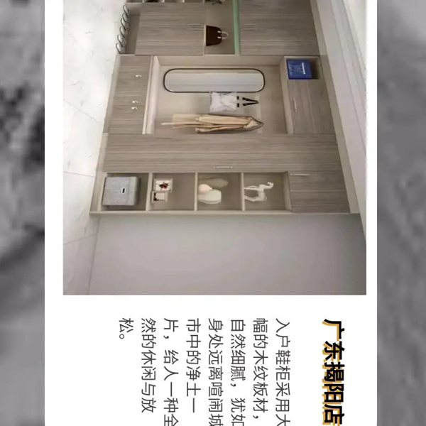 伊百丽全屋定制：免CAD设计软件治木美图鉴赏