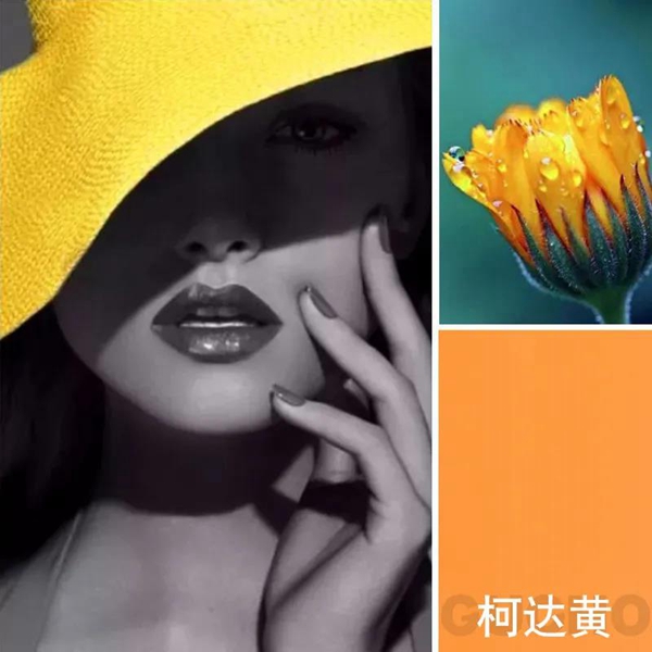 贵朝全屋定制:玩转色彩,你的家可以美成这样!