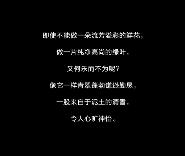 雅菲壁布：刺绣独幅——一叶子