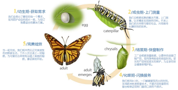 特诺发：信者得爱，蜕变之舞