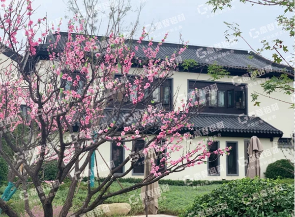 高登忆江南斩获“红棉奖￭2020产品设计奖”