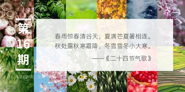 舒纳沃恩漆：万物生长 节气之歌 ---春夏篇