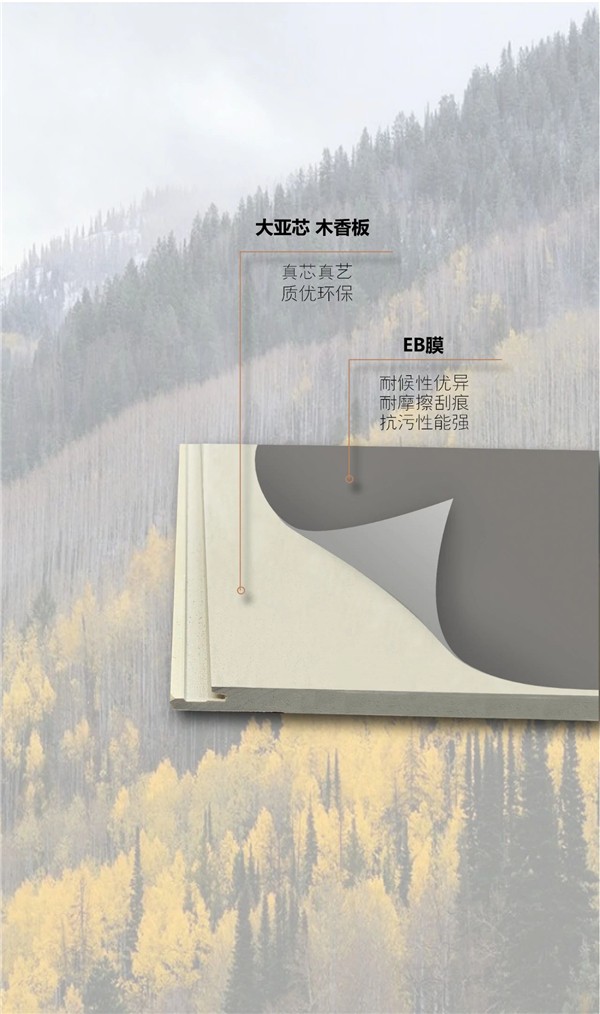 圣象丨整装设计+ 地门墙一体化解决方案
