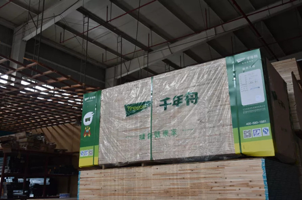 千年舟·柏菲伦：风雨十二载，一个「商二代」的蜕变